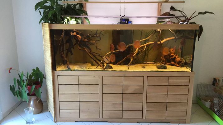 ensemble aquarium et meuble eau douce de 220 x 70 x 70 ht ( 1000 l )