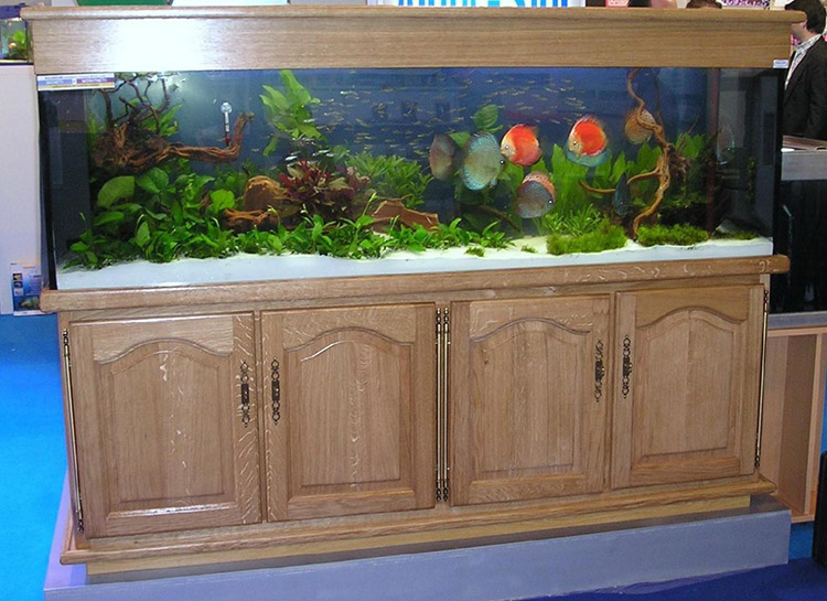 Fabricant d'aquarium Azé