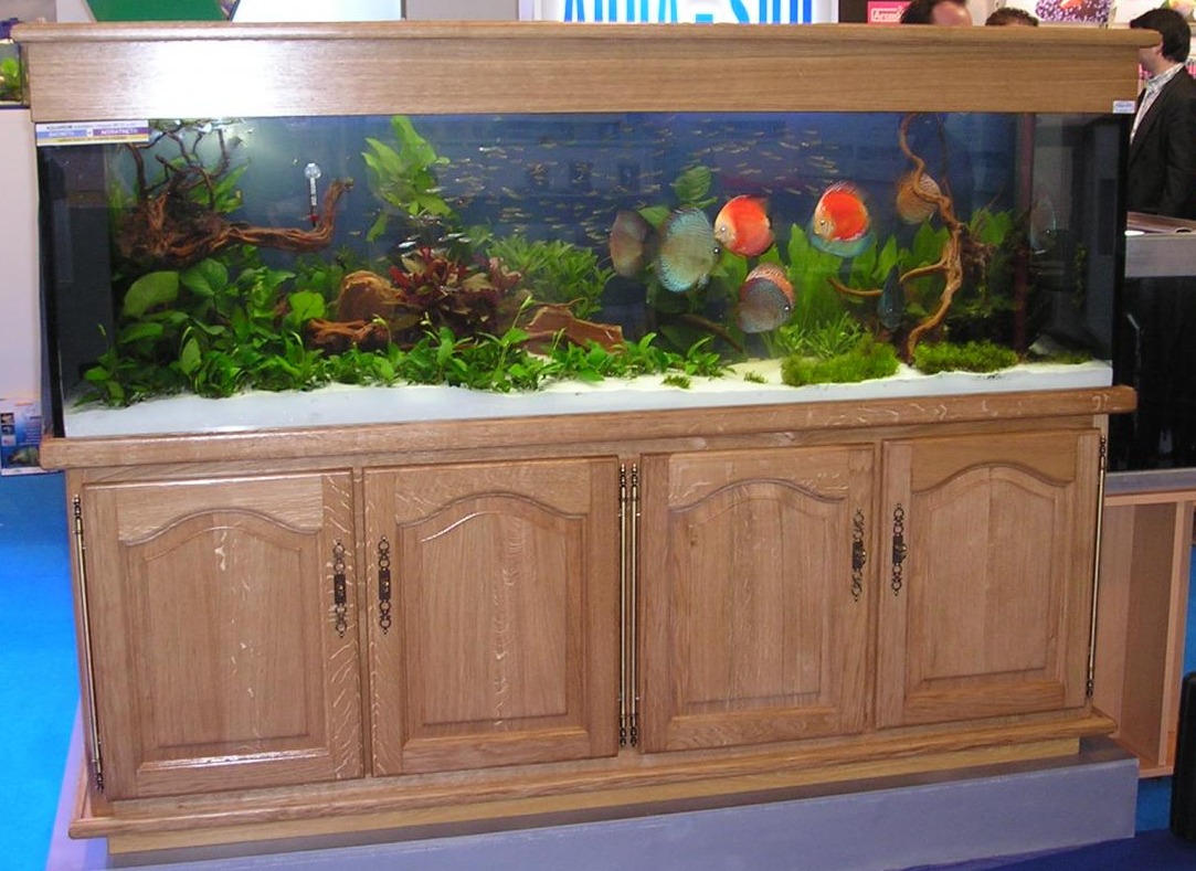Aquarium eau douce de 200 x 50 x 60 ht en verre de 10 mm avec son meuble en chene massif ( teinte et forme des portes au choix )